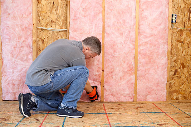 Best Fiberglass Insulation in Parole, MD